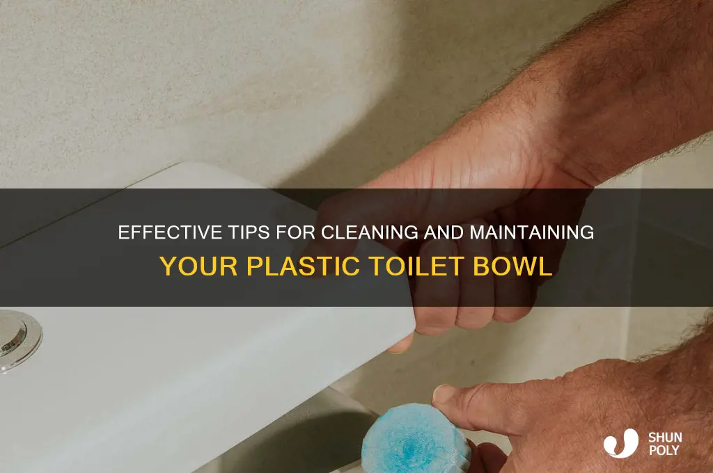 how to clean plastic toilet bowl