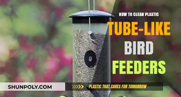 Effective Cleaning Tips for Plastic Tube-Like Bird Feeders