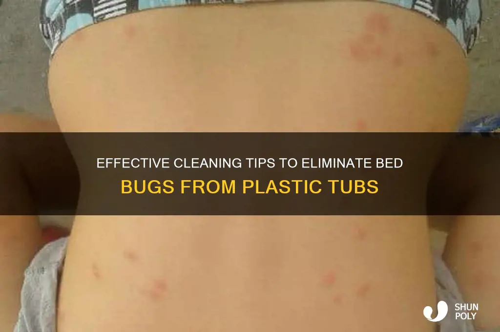 how to clean plastic tubs for bed bugs