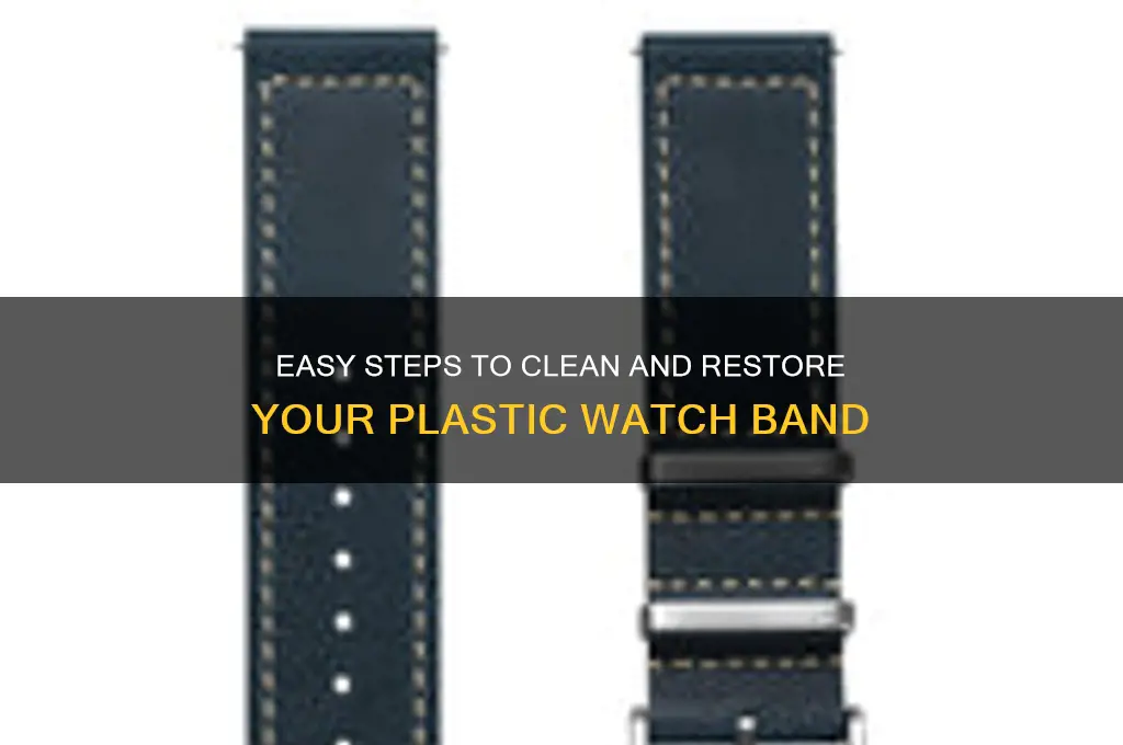 how to clean plastic watch band