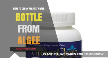 Effective Tips to Clean Algae from Your Plastic Water Bottle