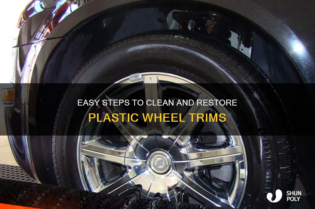 how to clean plastic wheel trims