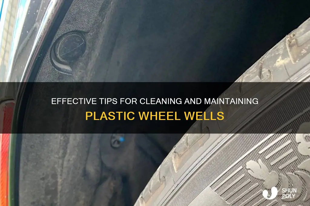 how to clean plastic wheel wells