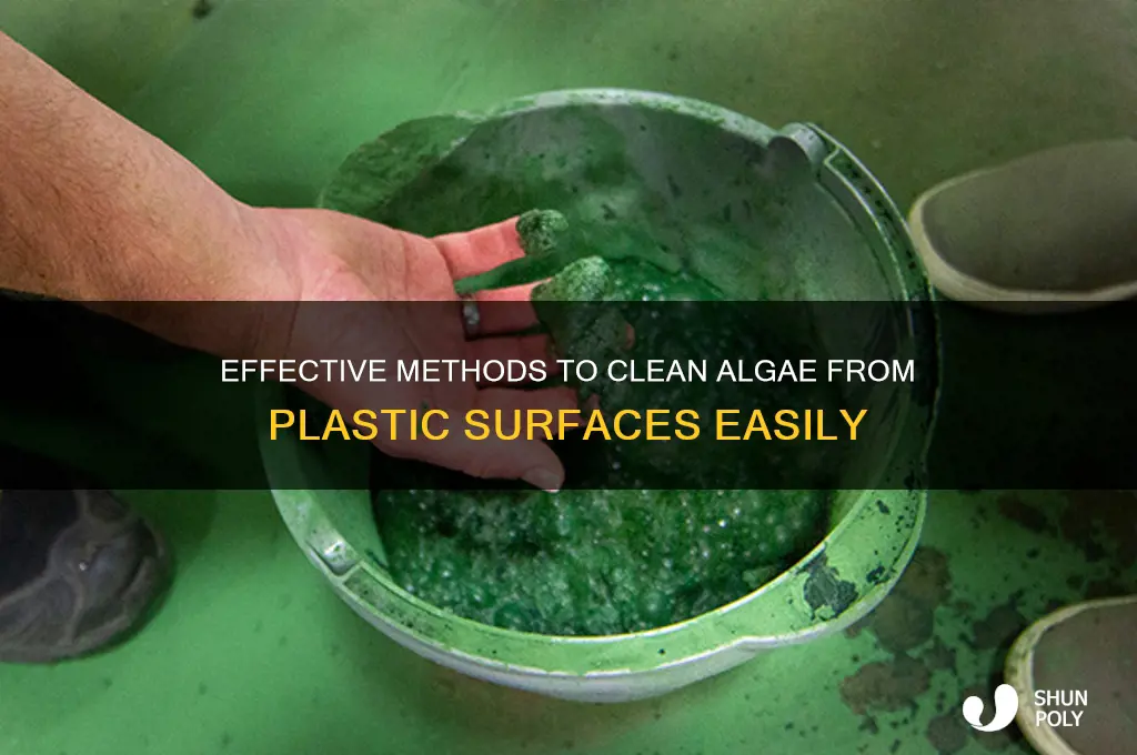 how to clean plastic with algea growing inside
