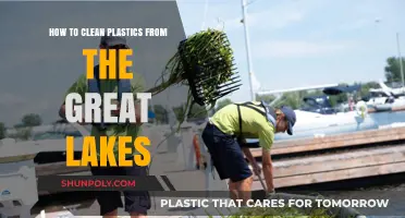Effective Strategies to Remove Plastic Pollution from the Great Lakes