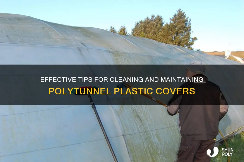 how to clean polytunnel plastic
