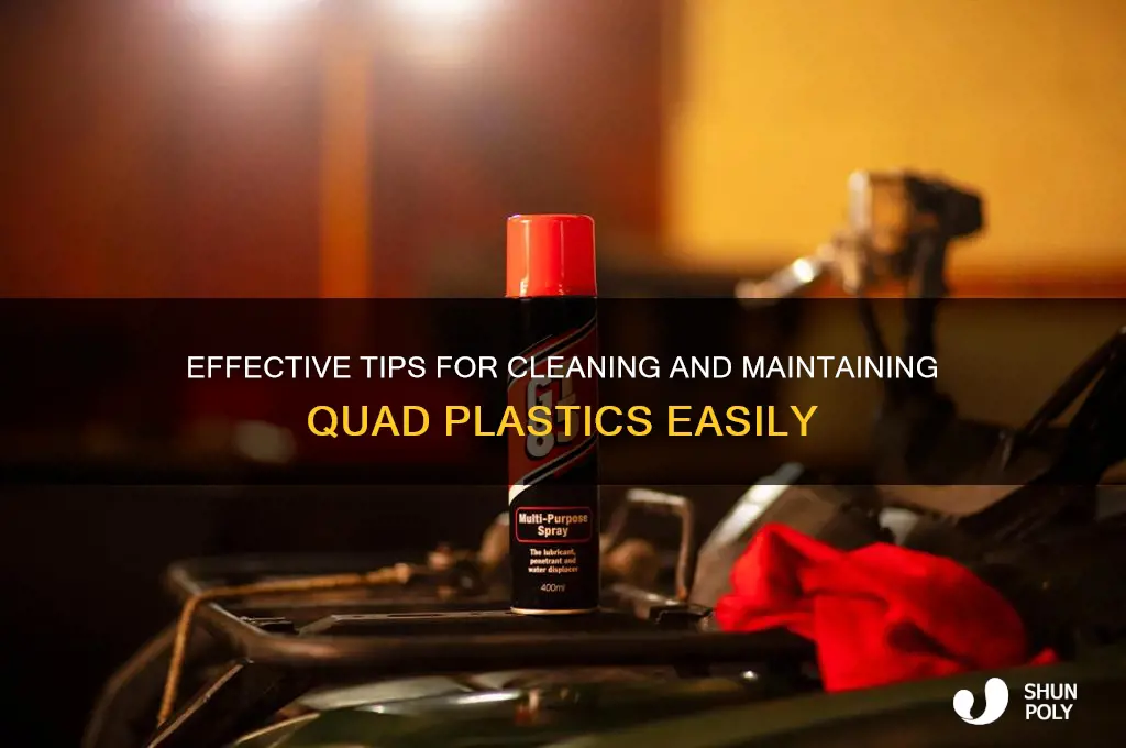 how to clean quad plastics