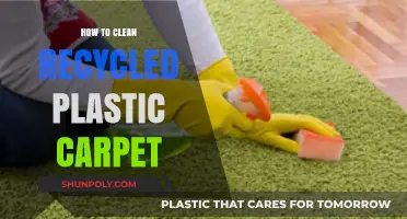 Eco-Friendly Tips: Cleaning Recycled Plastic Carpets for a Sustainable Home