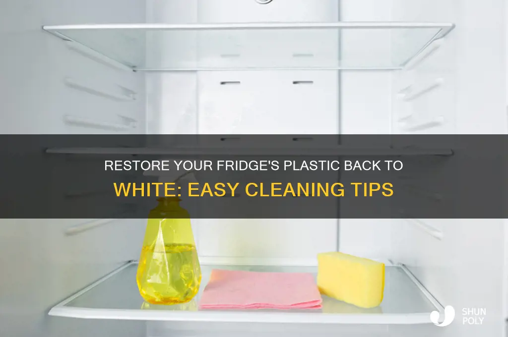 how to clean refrigerator plastic back to white