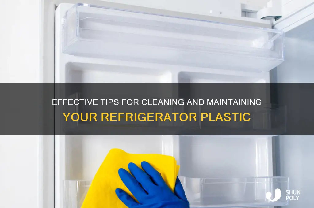how to clean refrigerator plastic