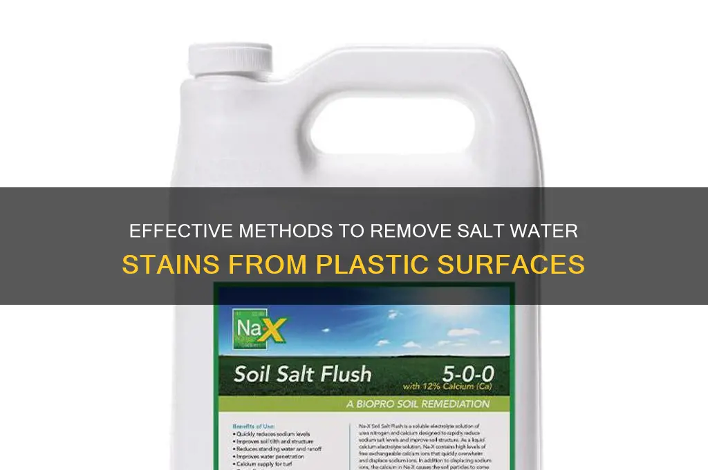 how to clean salt water stains on plastic
