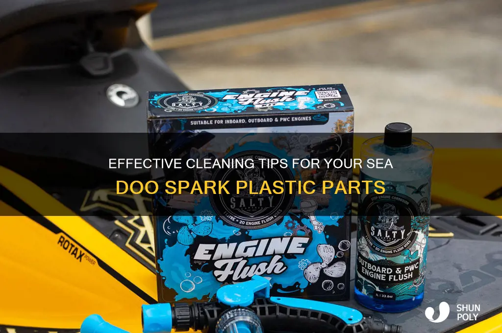 how to clean sea doo spark plastic