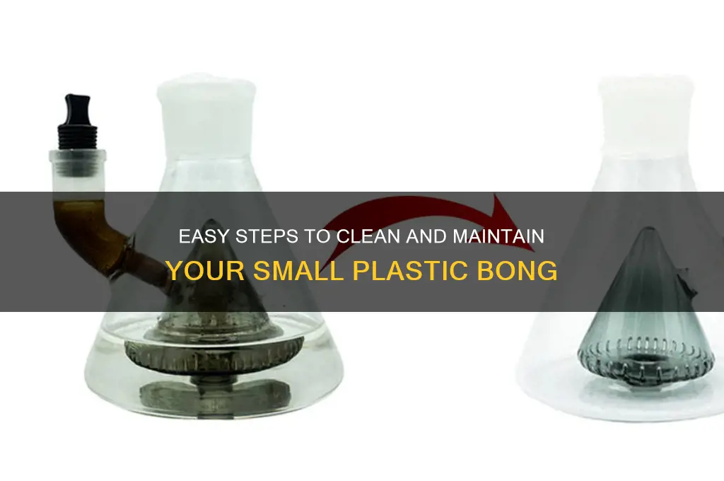 how to clean small plastic bong