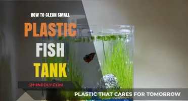Easy Steps to Clean and Maintain Your Small Plastic Fish Tank