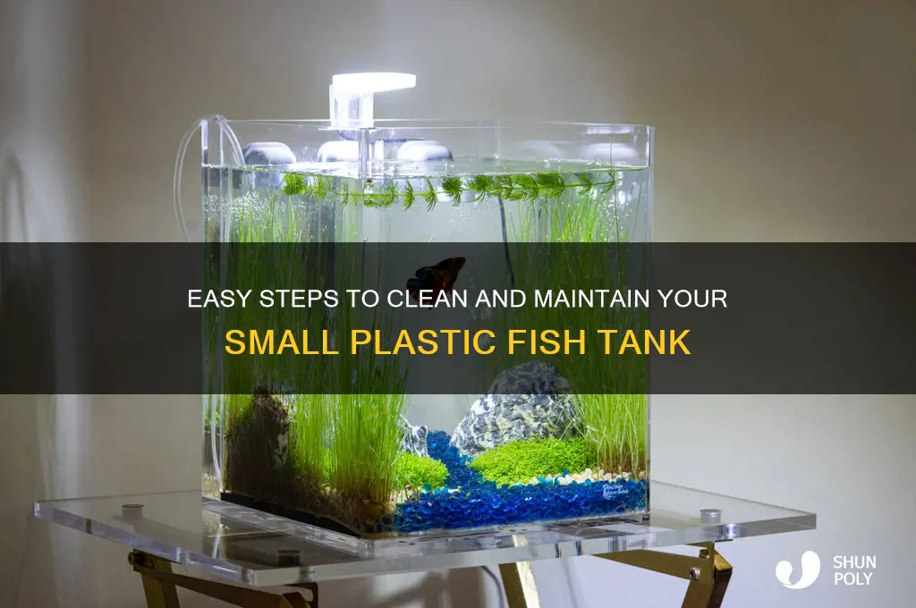 how to clean small plastic fish tank