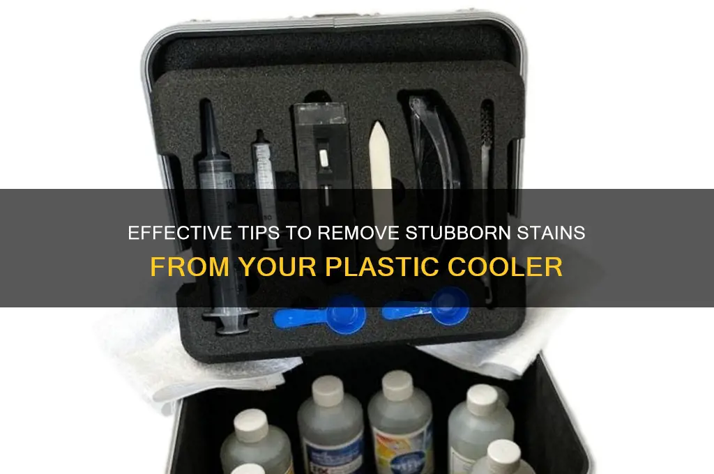 how to clean stains from plastic cooler