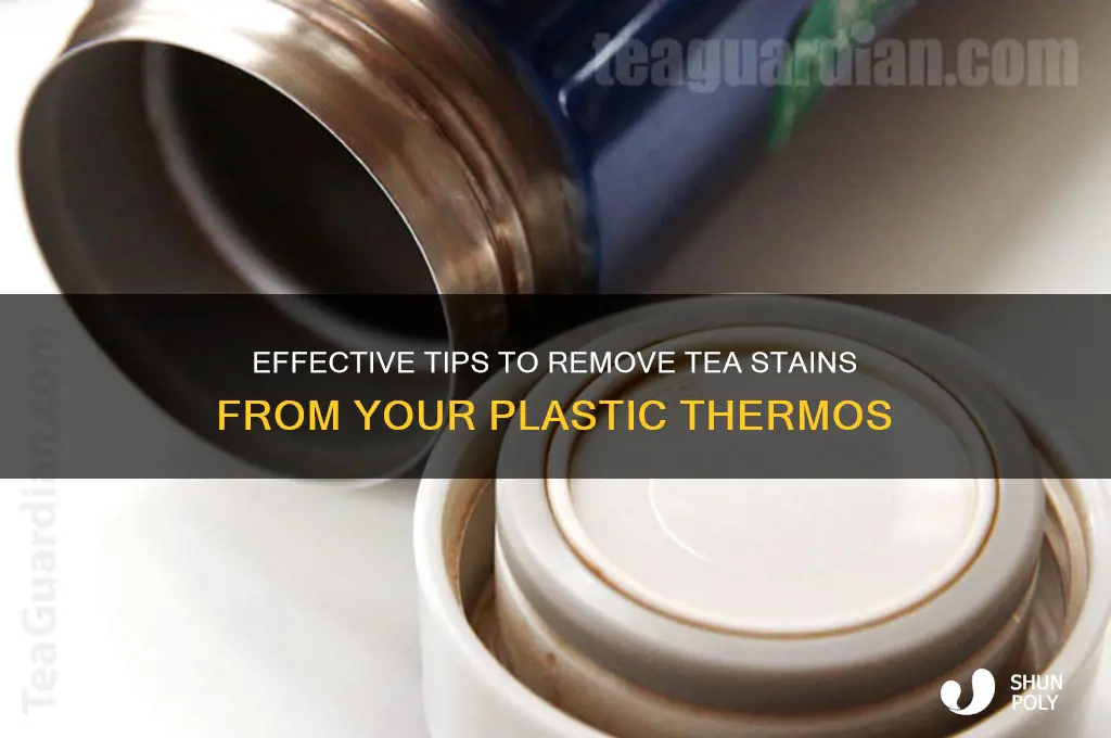 how to clean tea stains out of a plastic thermos