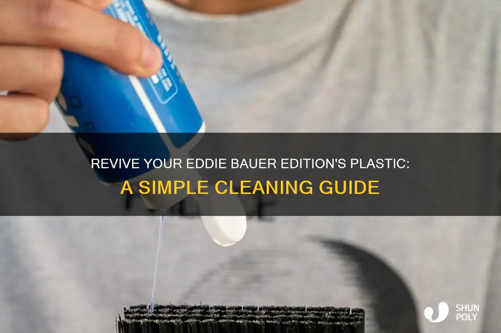 how to clean the plastic on eddie bauer editions