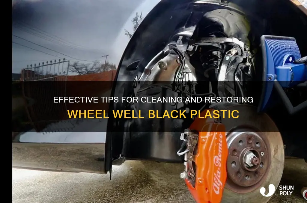 how to clean the wheel well black plastic