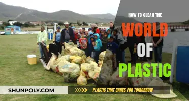 Uniting to Eliminate Plastic Pollution: A Global Cleanup Guide