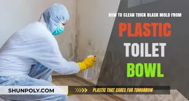 Effective Ways to Remove Thick Black Mold from Plastic Toilet Bowls