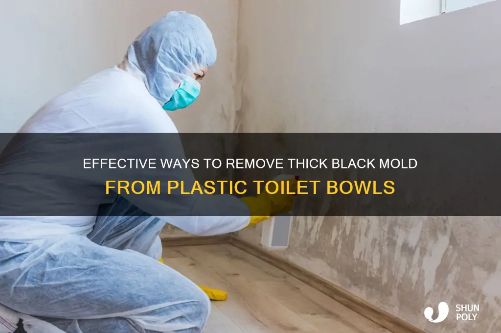 how to clean thick black mold from plastic toilet bowl