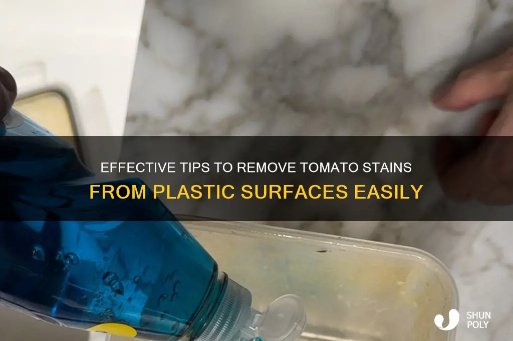 how to clean tomato stain from plastic