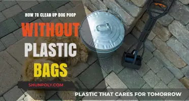 Eco-Friendly Dog Poop Cleanup: Plastic-Free Solutions for Pet Owners
