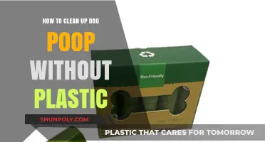 Eco-Friendly Dog Poop Cleanup: Plastic-Free Solutions for Pet Owners