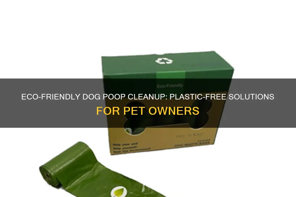 how to clean up dog poop without plastic