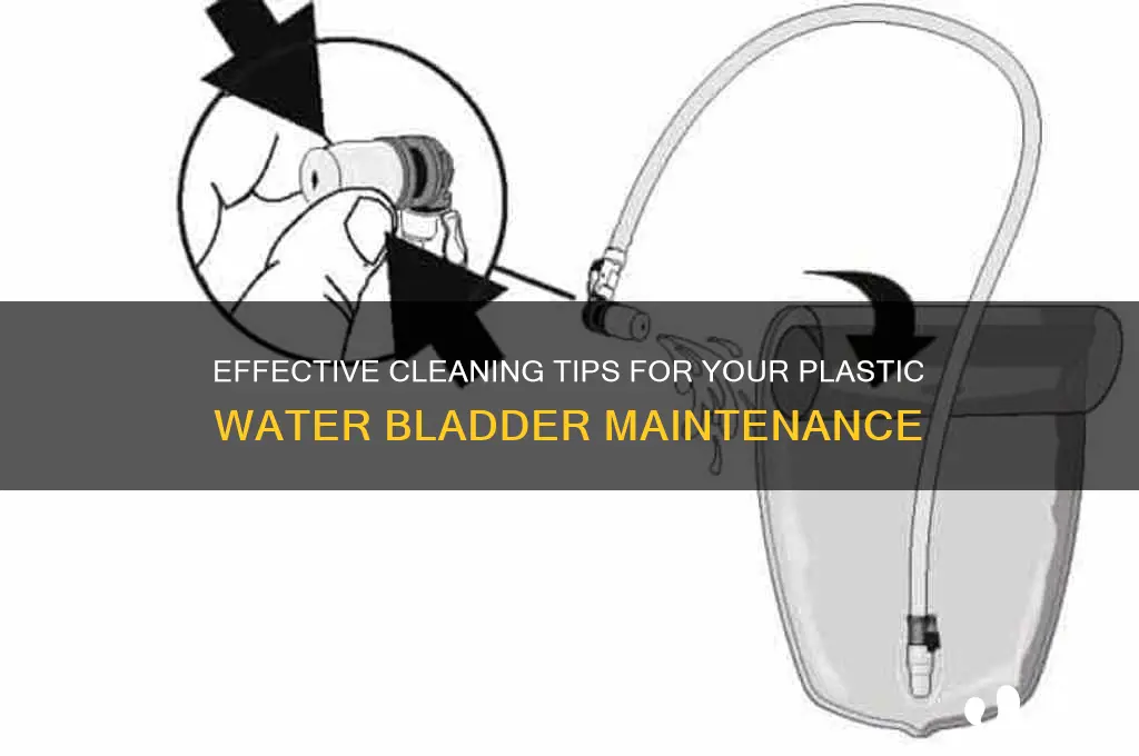 how to clean water bladder plastic