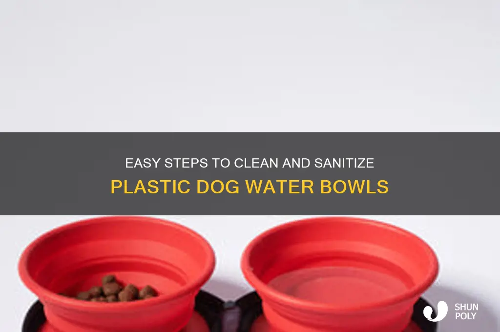 how to clean water plastic dog bowls