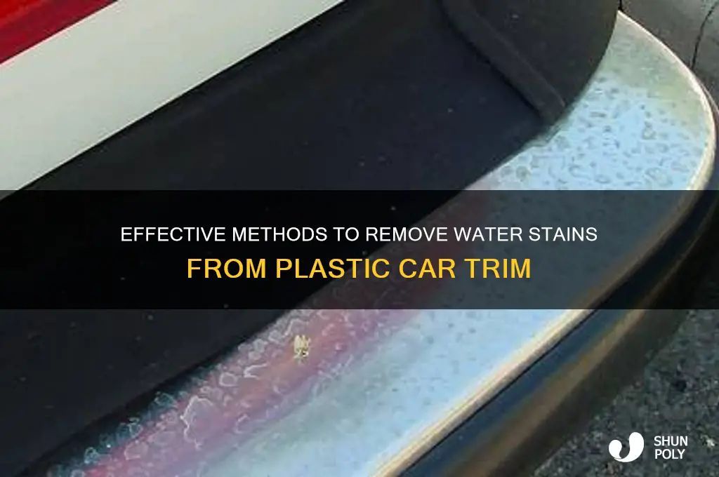 how to clean water stained plastic car trim