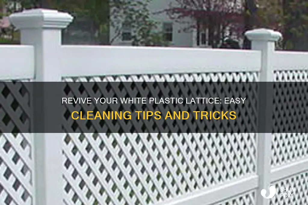 how to clean white plastic lattice