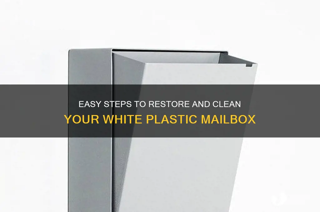 how to clean white plastic mailbox