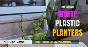 Revive Your White Plastic Planters: Easy Cleaning Tips for a Fresh Look