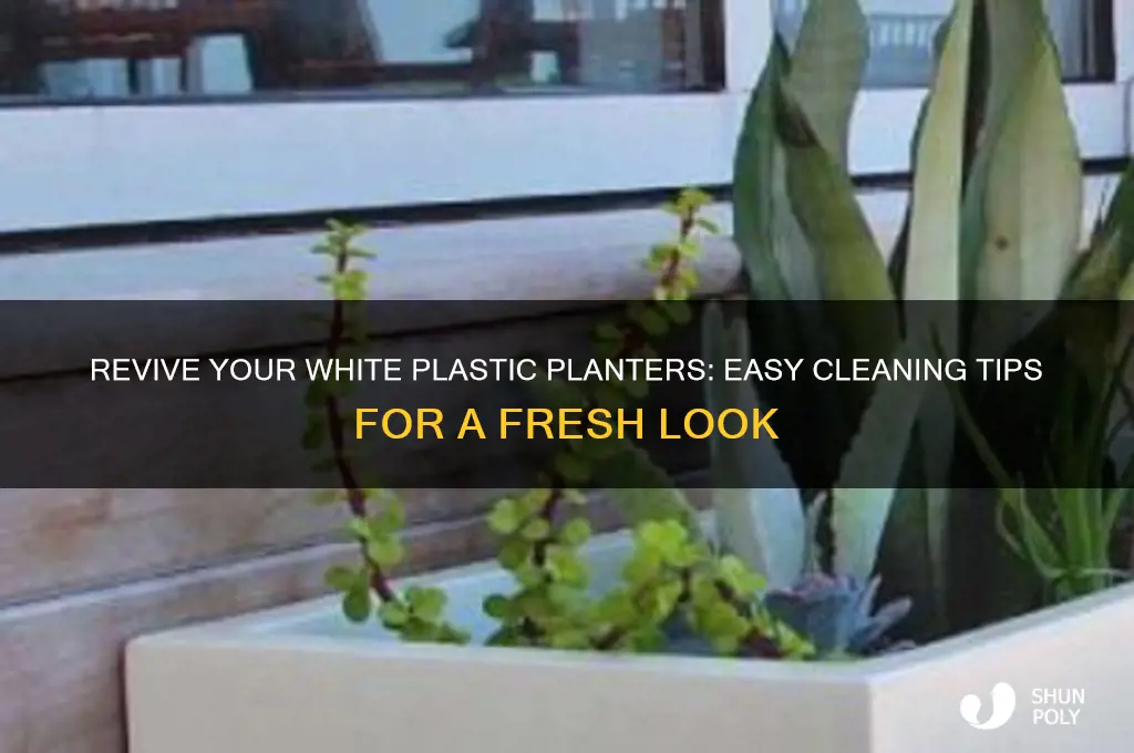how to clean white plastic planters