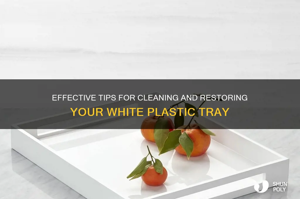 how to clean white plastic tray
