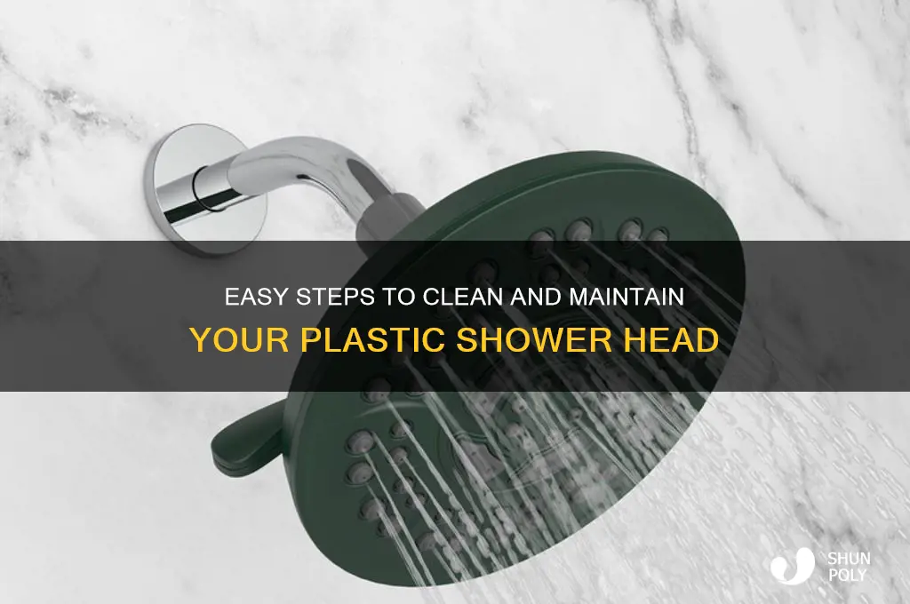 how to clean your plastic shower head