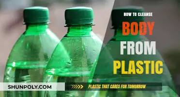 Detoxing Plastics: Cleansing Your Body from the Inside Out