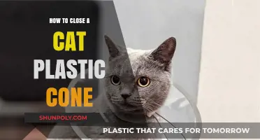 The Tricky Task: Closing a Cat Cone