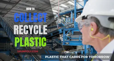 Collecting Plastic for Recycling: A Guide to Getting Started