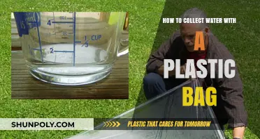 Simple Plastic Bag Water Collection: A Survivalist's Guide to Hydration