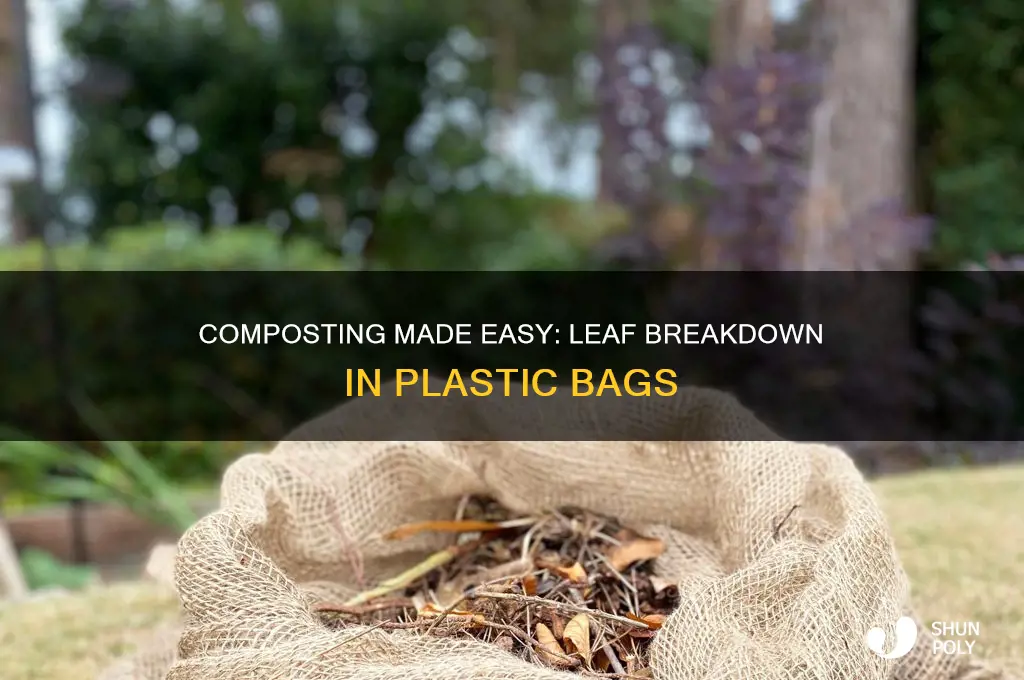 how to compost leaves in plastic bags