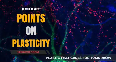 Unleashing Plasticity: Connecting the Dots for Brain Power