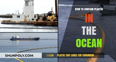 Protecting Oceans: Stopping Plastic Pollution at the Source