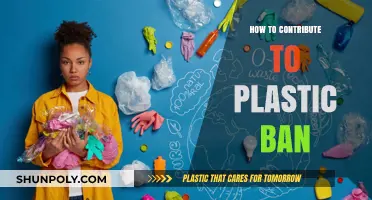 Small Actions, Big Impact: Plastic Ban Contributions