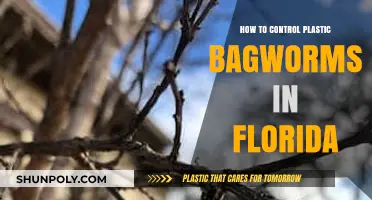 Controlling Bagworms: Tips for Florida Gardeners