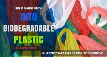 Transforming Plastics: Biodegradable Revolution