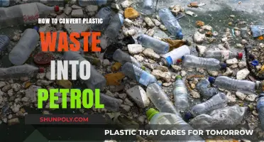 Transforming Plastic Waste: The Eco-Friendly Route to Petrol
